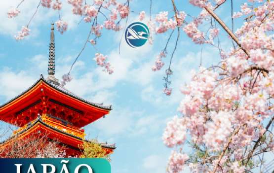 Japão Grupo Exclusivo